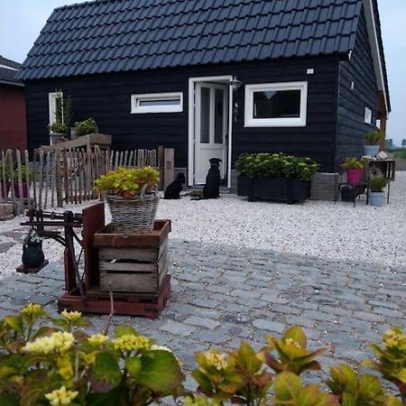 Wellness Chalet Met Jacuzzi, Sauna, Omheinde Tuin, Sint Annaland Zewnętrze zdjęcie