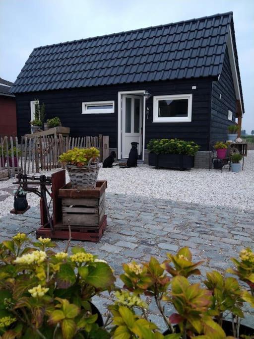 Wellness Chalet Met Jacuzzi, Sauna, Omheinde Tuin, Sint Annaland Zewnętrze zdjęcie