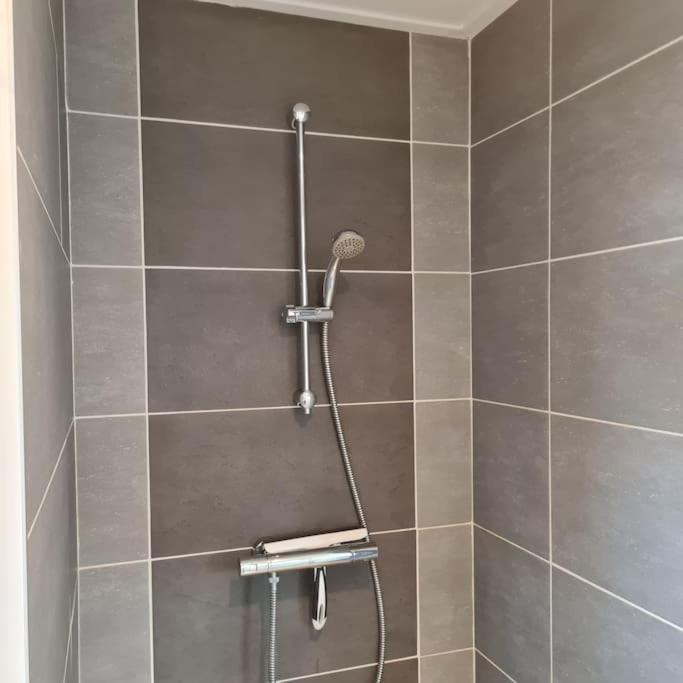 Wellness Chalet Met Jacuzzi, Sauna, Omheinde Tuin, Sint Annaland Zewnętrze zdjęcie