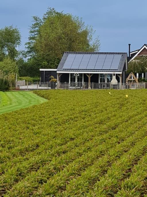 Wellness Chalet Met Jacuzzi, Sauna, Omheinde Tuin, Sint Annaland Zewnętrze zdjęcie